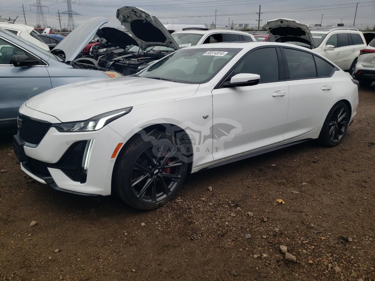 Cadillac CT5 SPORT 2.0L 4 2023