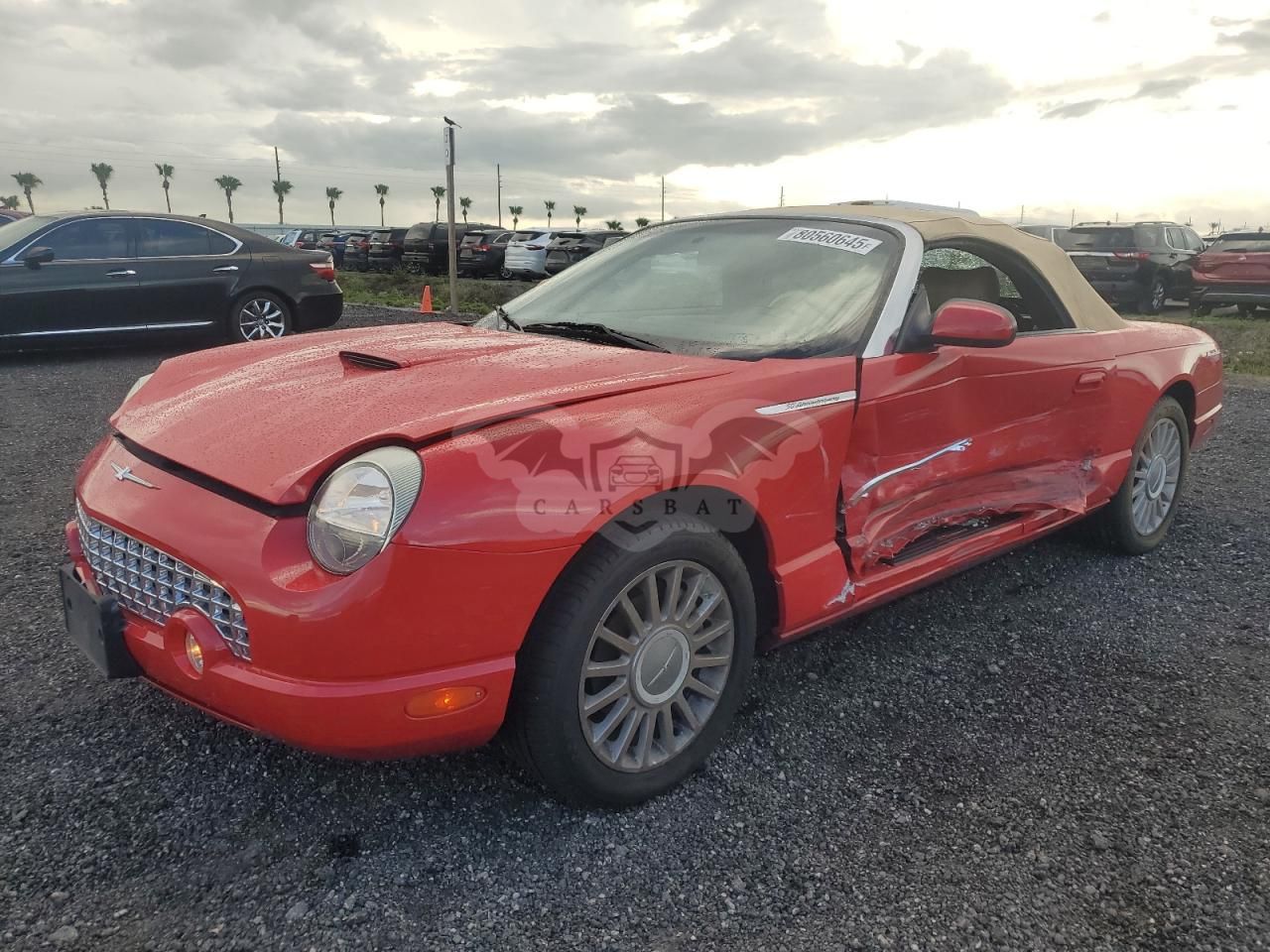Ford Thunderbird 3.9L 8 2005