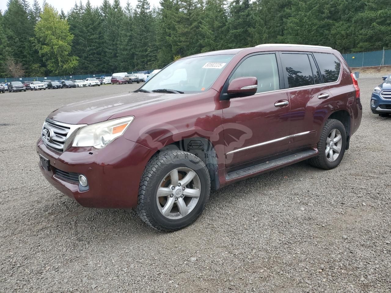 Lexus GX 460 PREMIUM 4.6L 8 2011