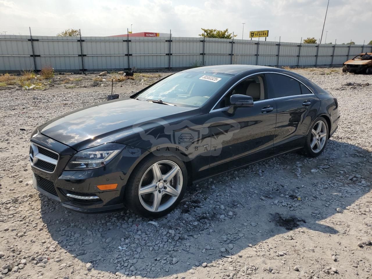 Mercedes-Benz CLS 550 4MATIC 4.6L 8 2014