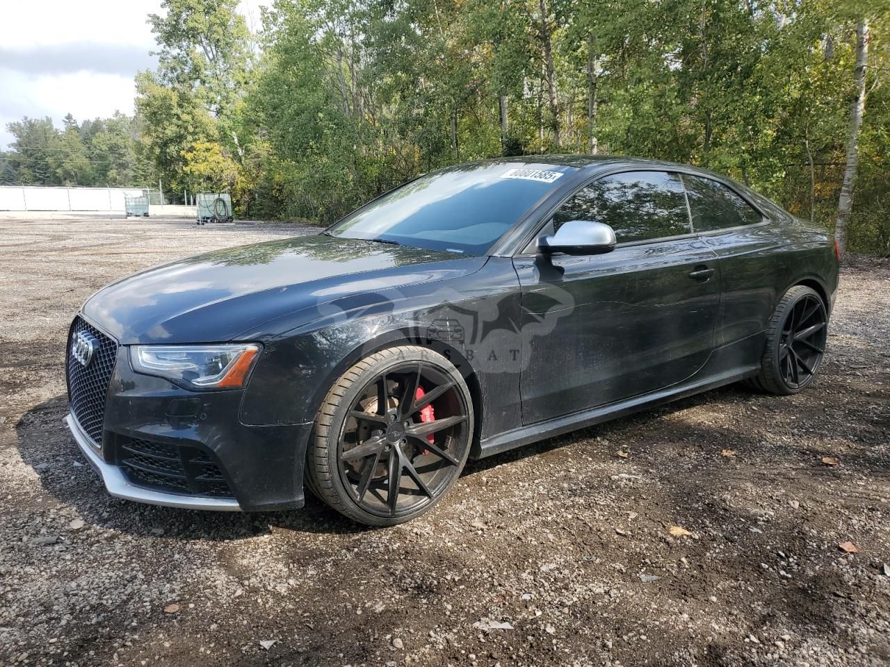 Audi S5 4.2L 8 2014