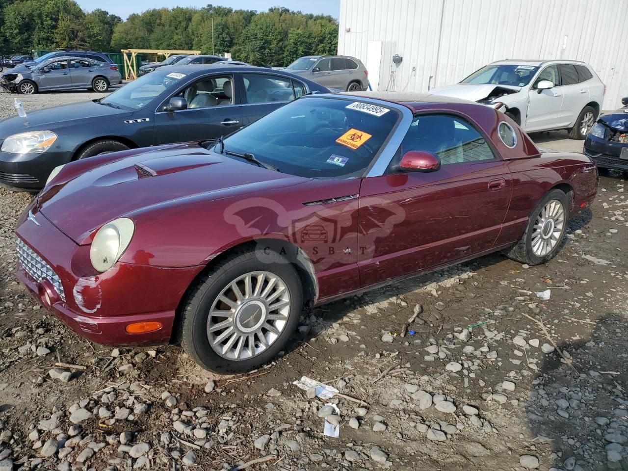 Ford Thunderbird 3.9L 8 2004