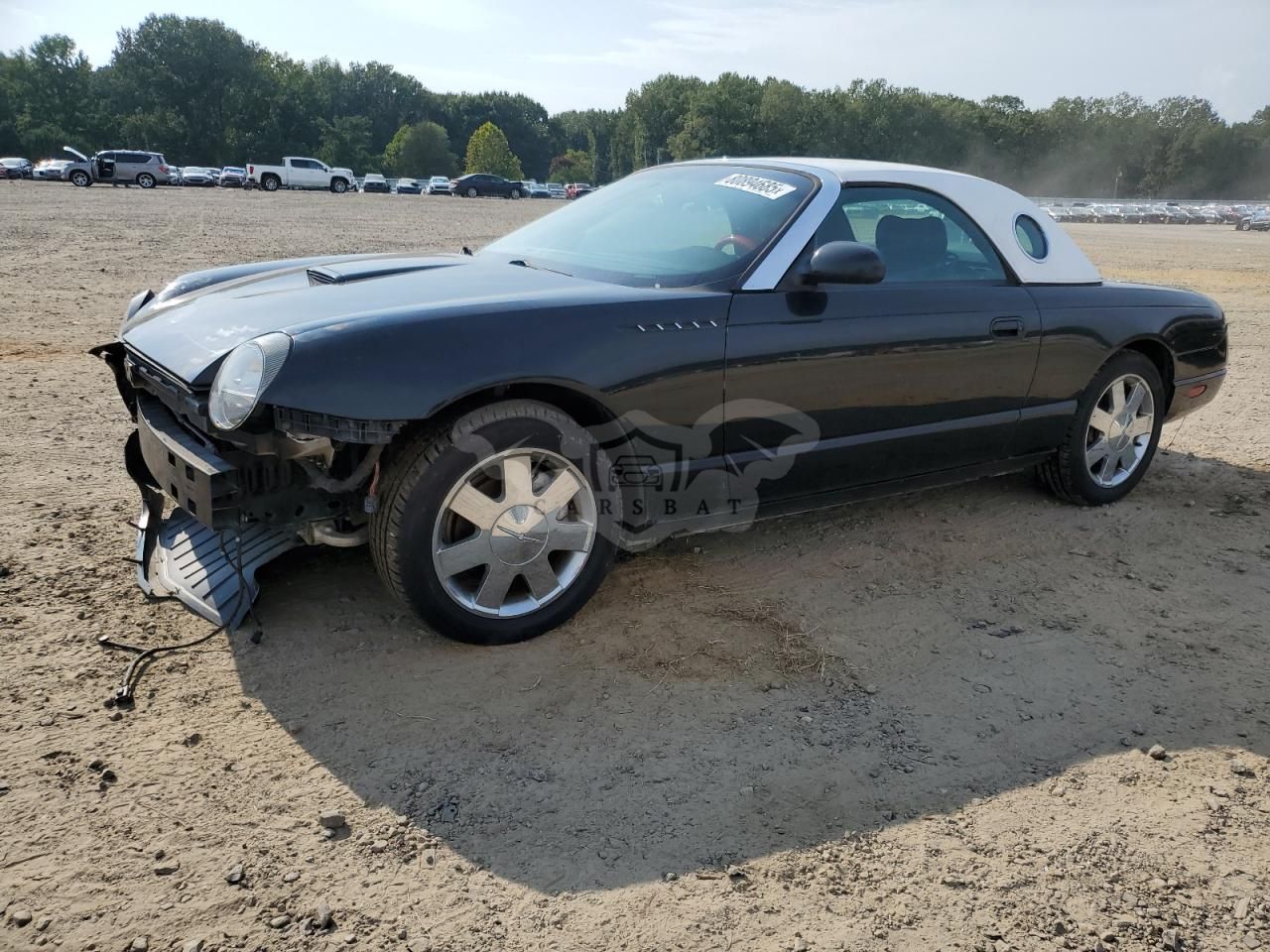 Ford Thunderbird 3.9L 8 2002