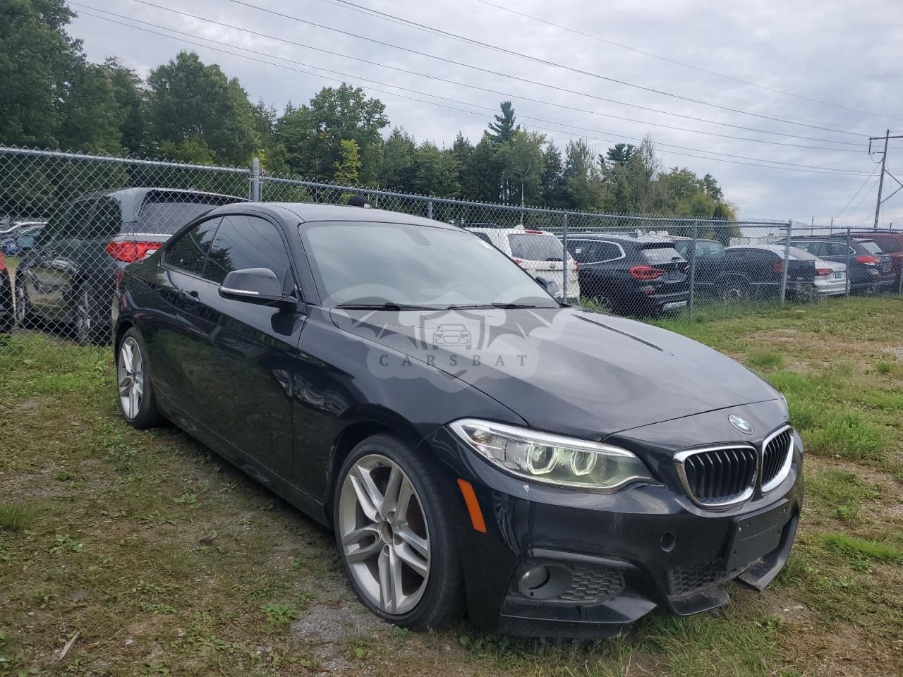 BMW 2 Series 2.0L 4 2017
