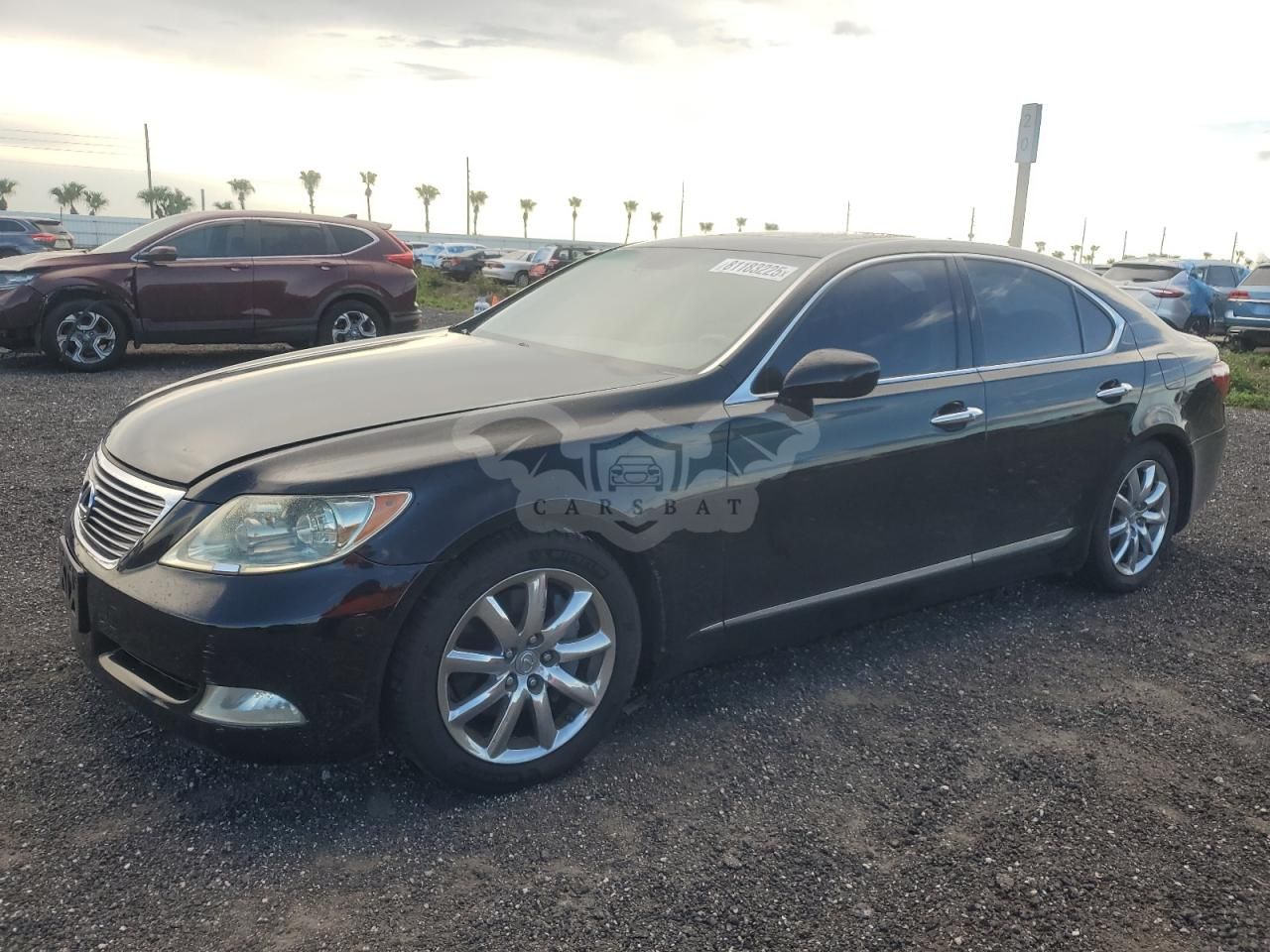 Lexus LS 460 4.6L 8 2007