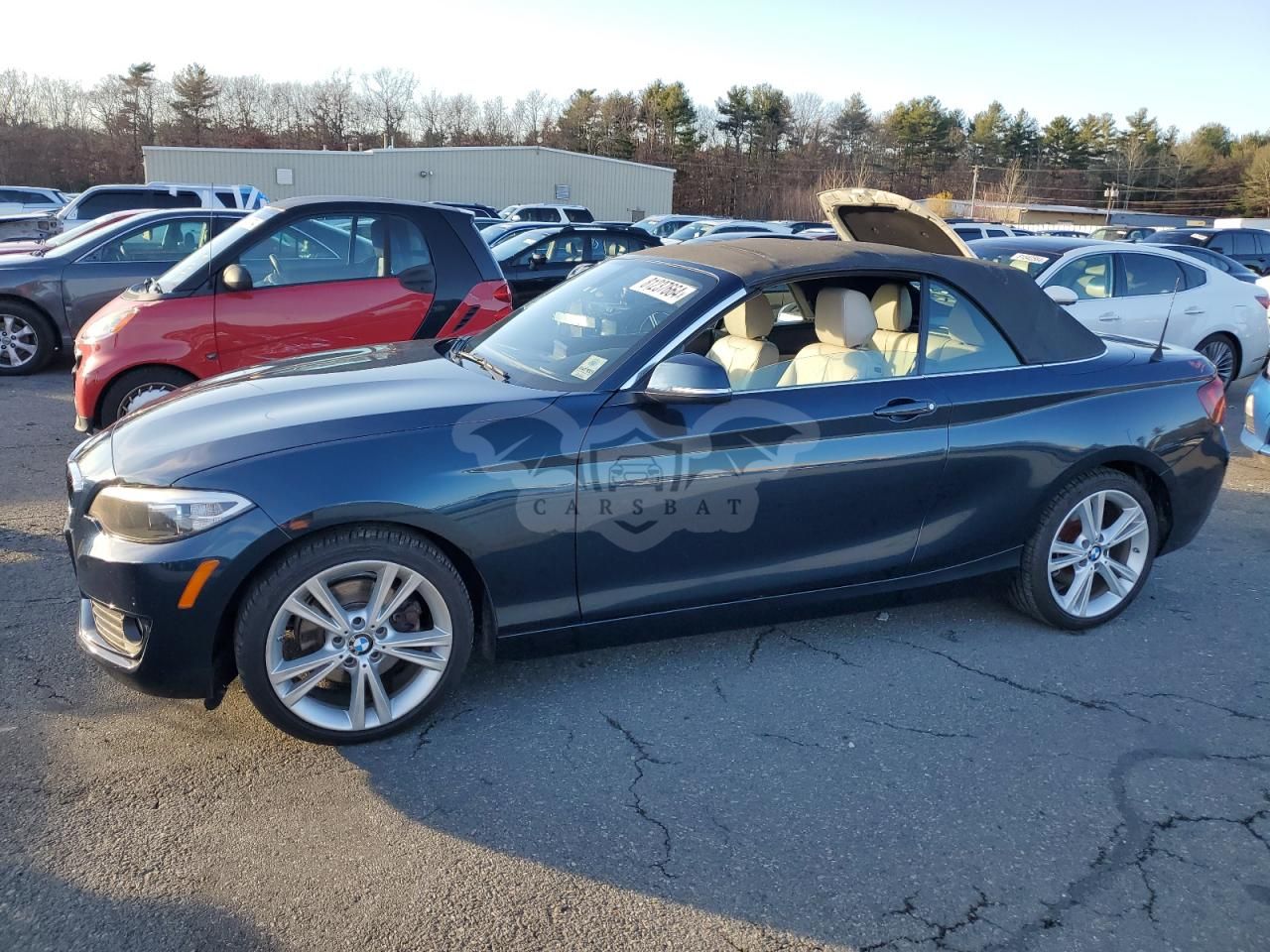BMW 2 Series 2.0L 4 2015