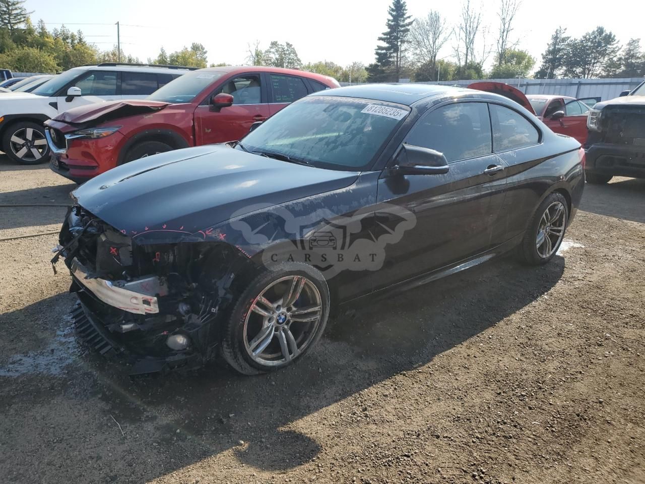 BMW 2 Series 2.0L 4 2017