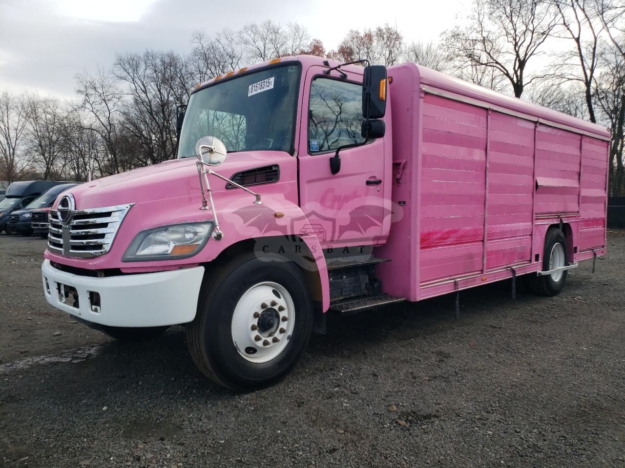 Hino Motors 338 7.7L 6 2007