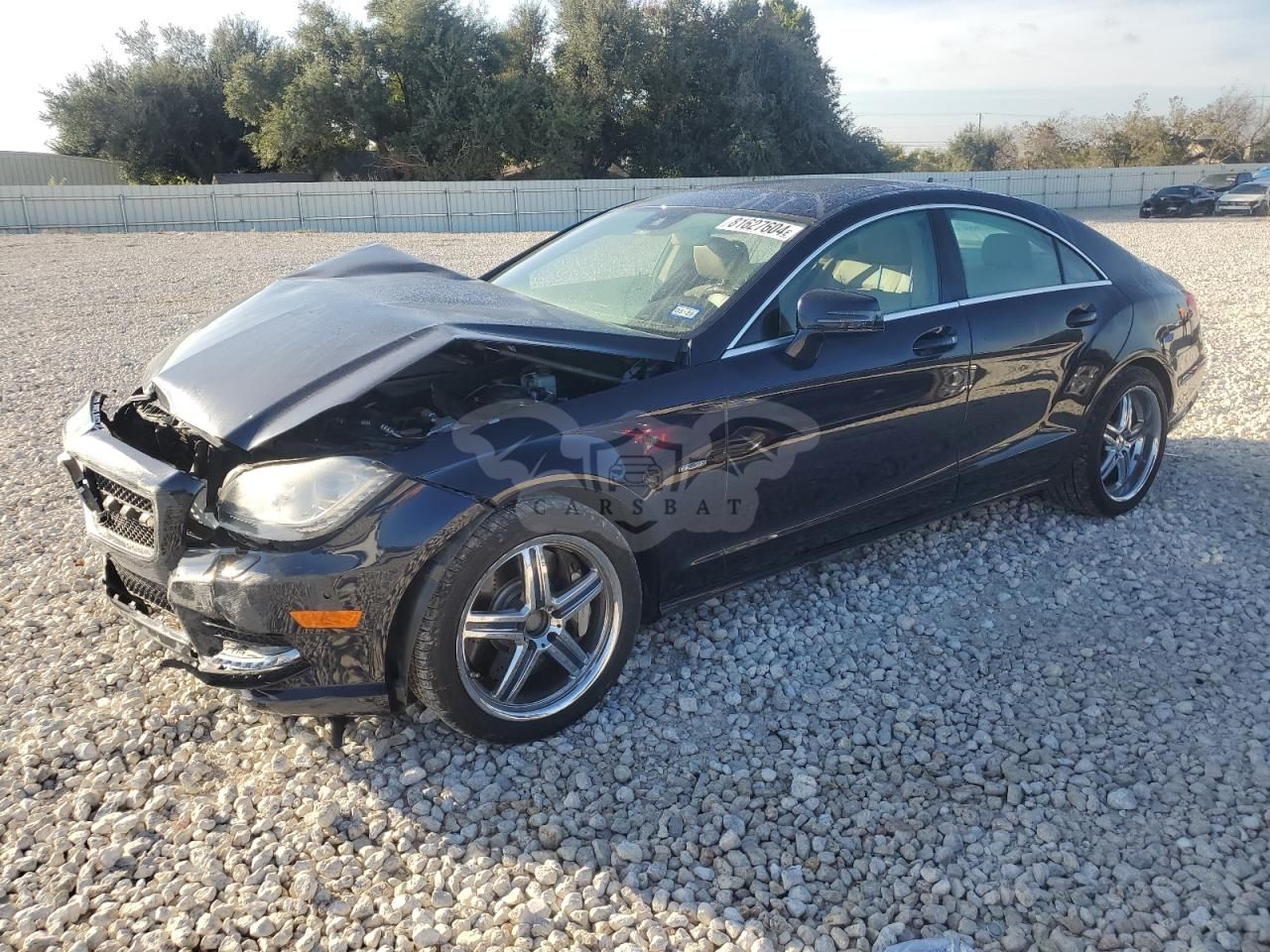 Mercedes-Benz CLS 4.6L 8 2012
