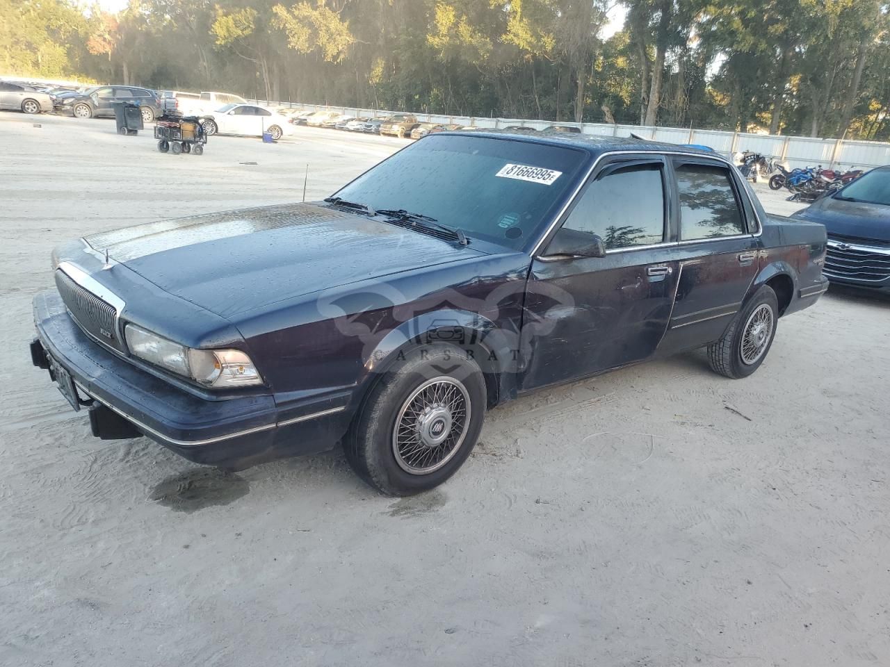 Buick Century SPECIAL 3.1L 6 1995