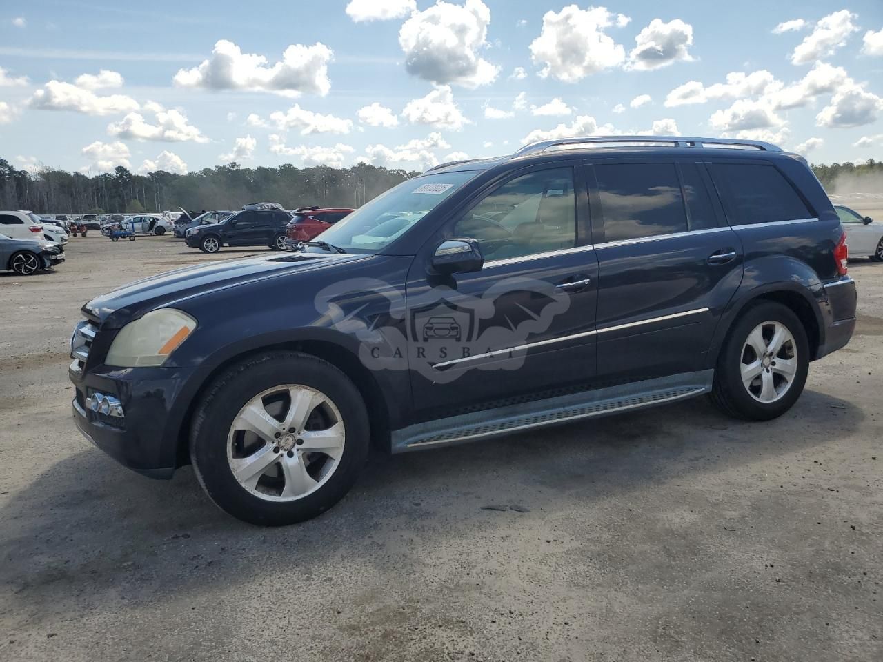 Mercedes-Benz GL 450 4MATIC 4.6L 8 2010