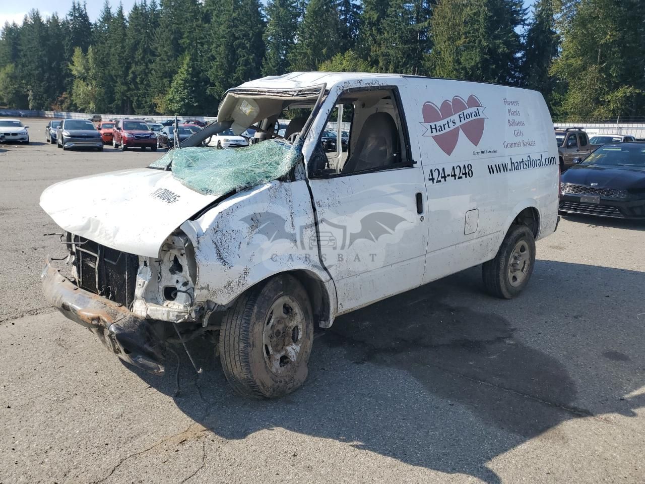 Chevrolet Astro 4.3L 6 2005
