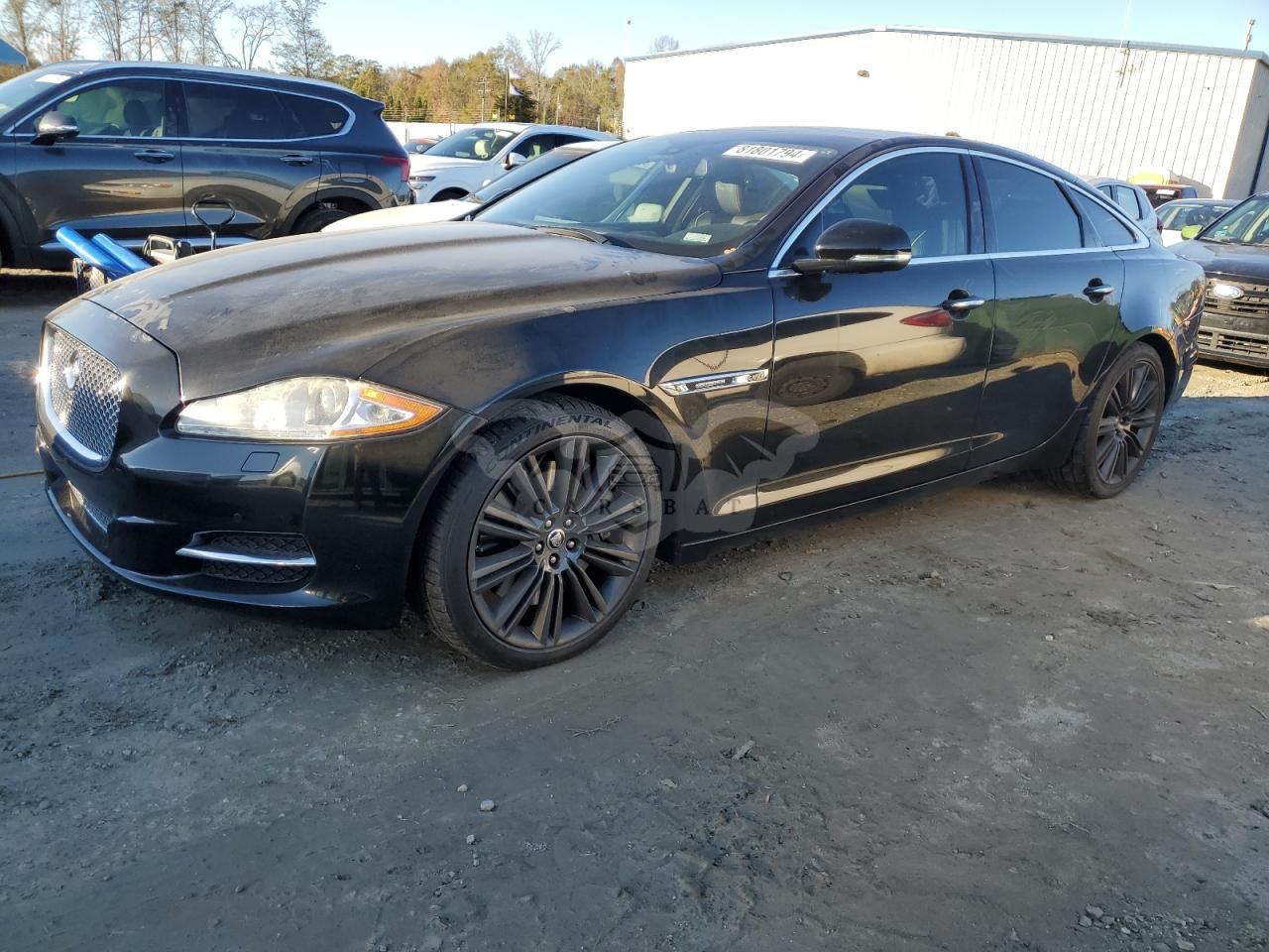 Jaguar XJ 5.0L 8 2013