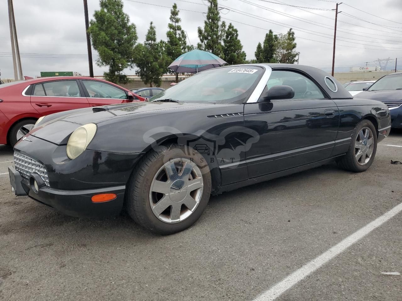 Ford Thunderbird 3.9L 8 2002