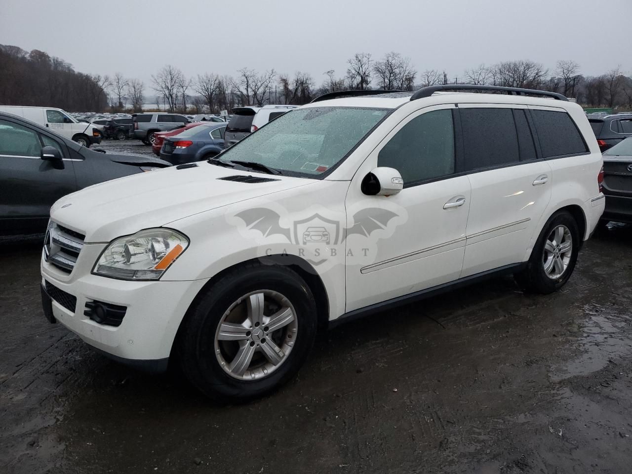 Mercedes-Benz GLS 4.7L 8 2007