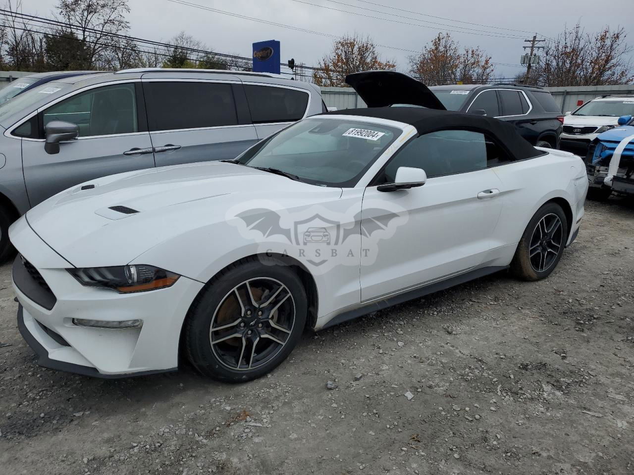 Ford Mustang 2.3L  4 2023
