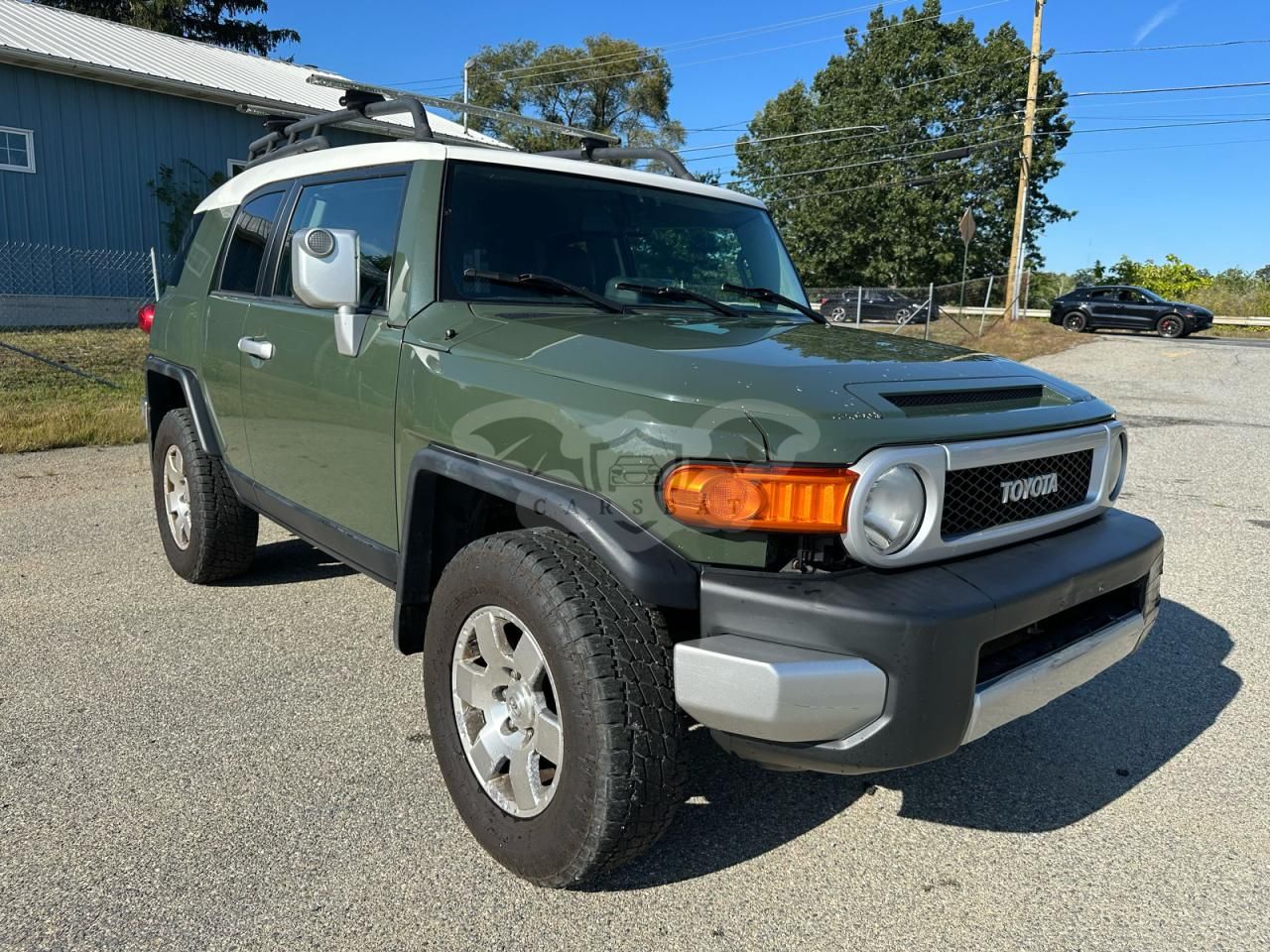 Toyota FJ Cruiser 4.0L 6 2010