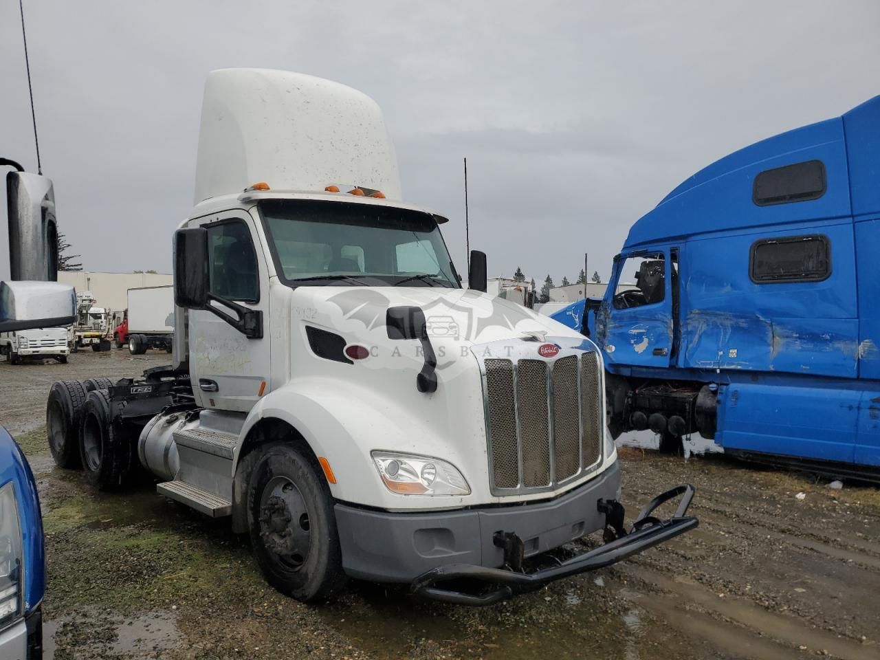 Peterbilt 567/579/587 12.9L 6 2018
