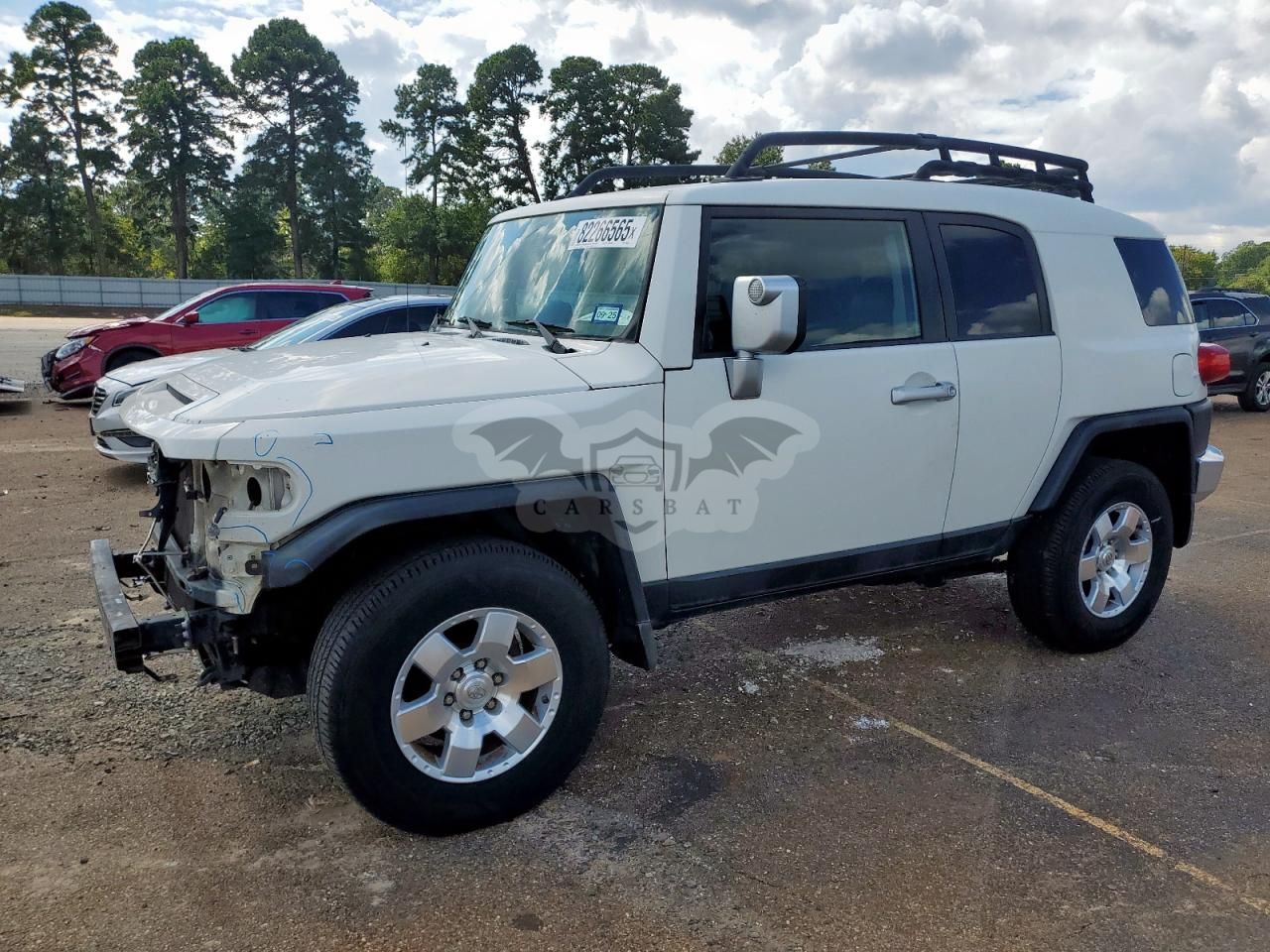Toyota FJ Cruiser 4.0L 6 2010