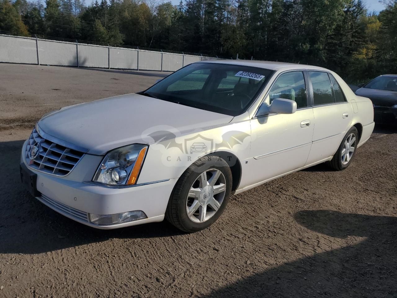 Cadillac DTS 4.6L 8 2006