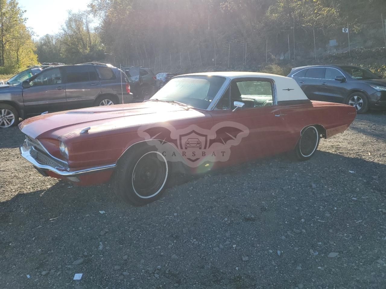 Ford Thunderbird 1966