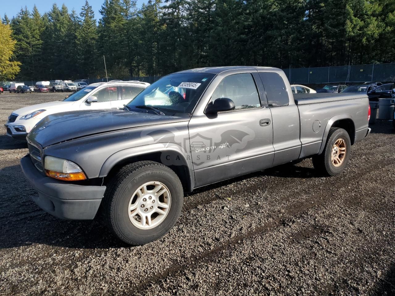 Dodge Dakota BASE 3.9L 6 2002