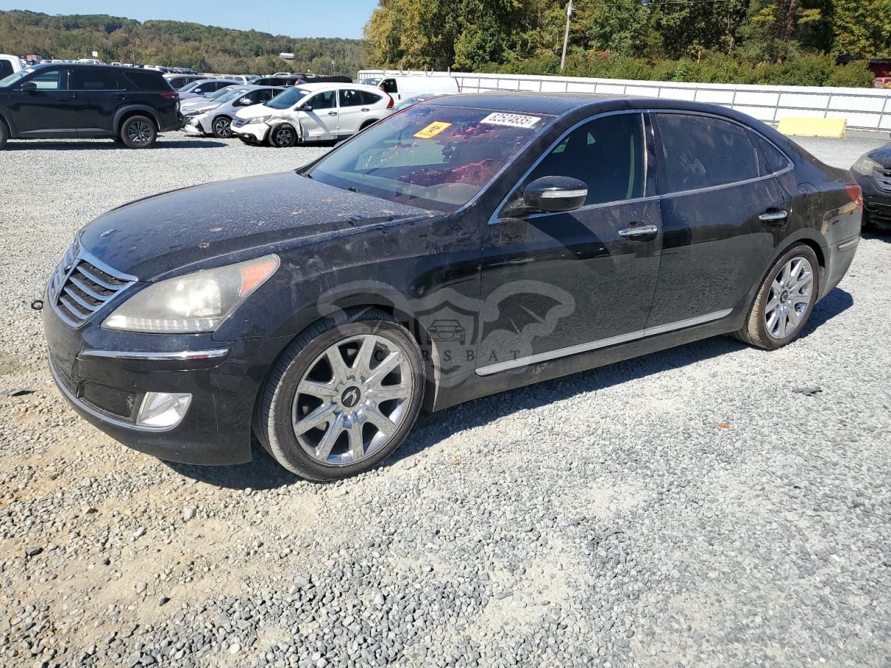 Hyundai Equus SIGNATURE 4.6L 8 2011