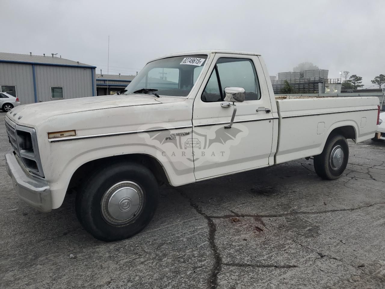 Ford F-100 5.0L 8 1981
