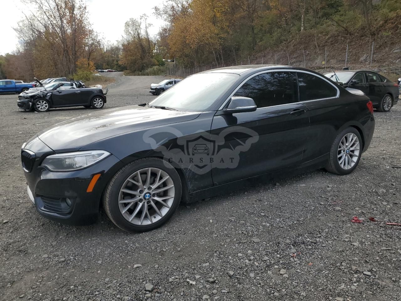 BMW 2 Series XI 2.0L 4 2015