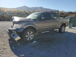 Ford F-150 SUPERCREW 5.0L 8 2014