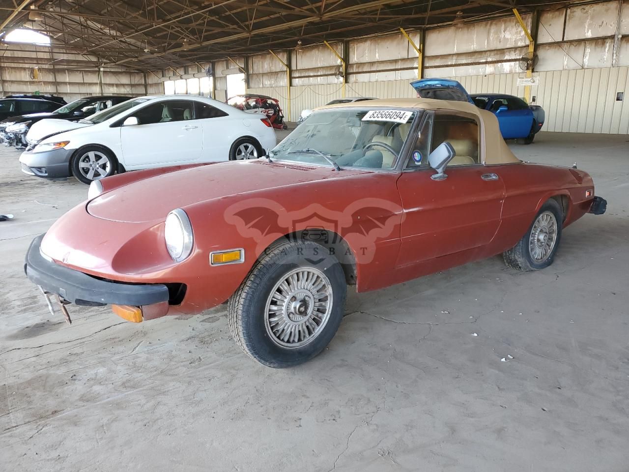 Alfa Romeo Spider 1980