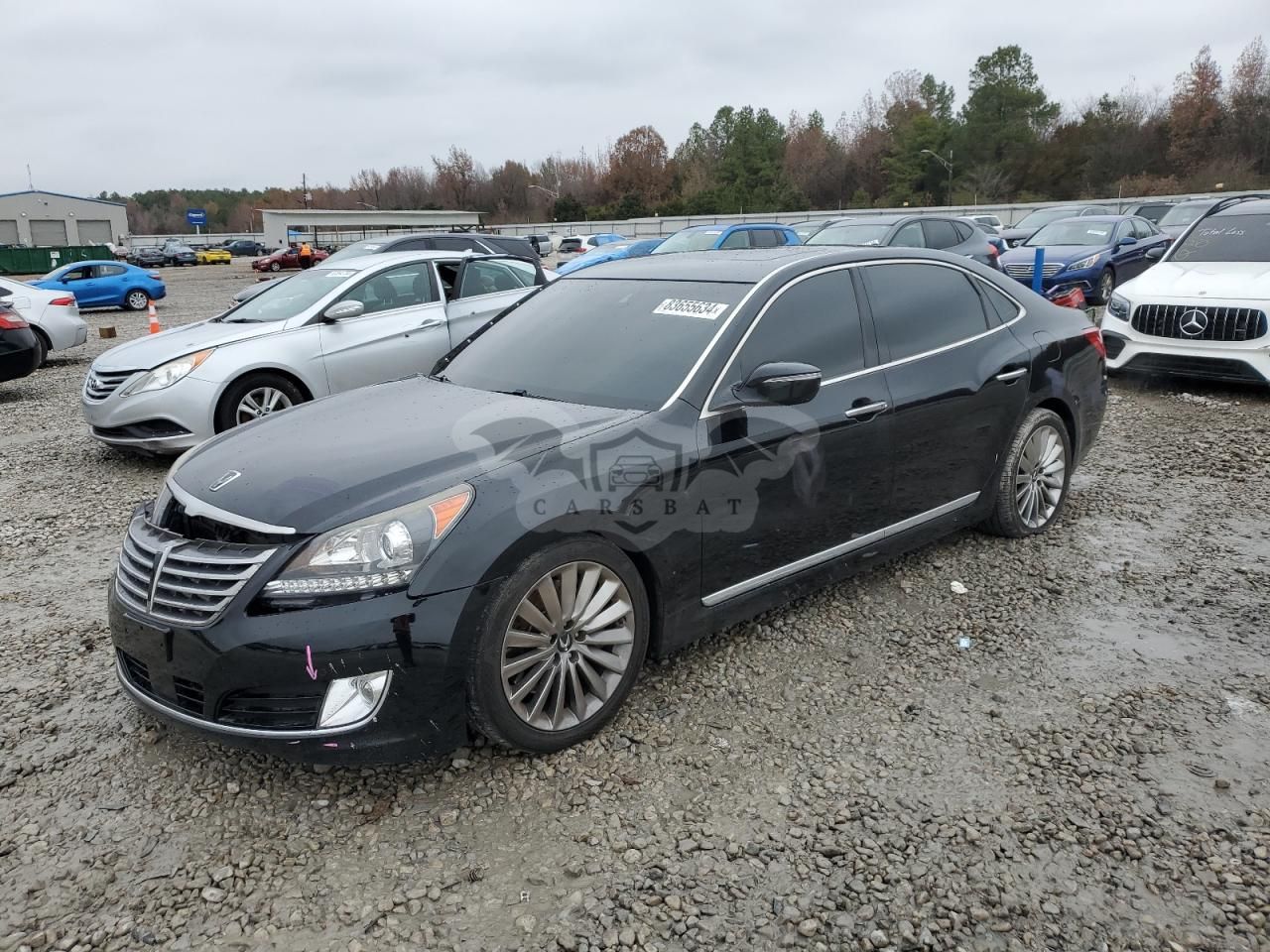 Hyundai Equus SIGNATURE 5.0L 8 2014