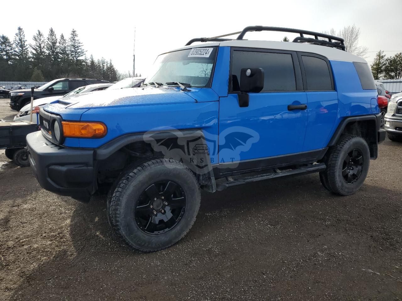 Toyota FJ Cruiser 4.0L 6 2007