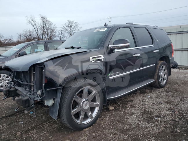 Cadillac Escalade HYBRID 6.0L  8 2010