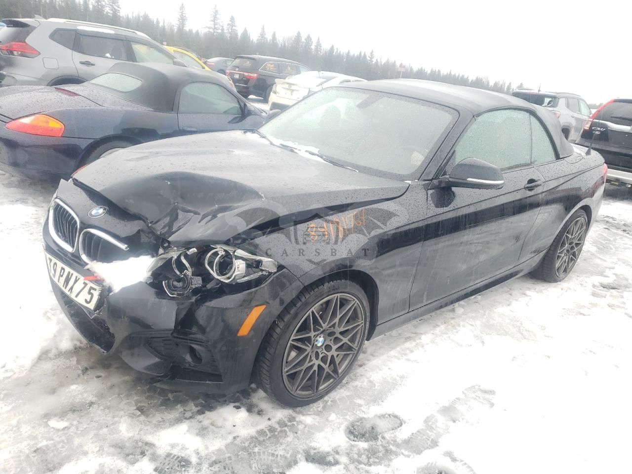 BMW 2 Series 2.0L 4 2018