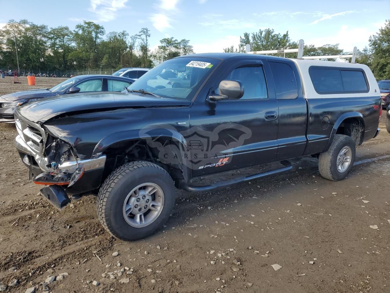 Dodge Dakota 3.9L 6 1999