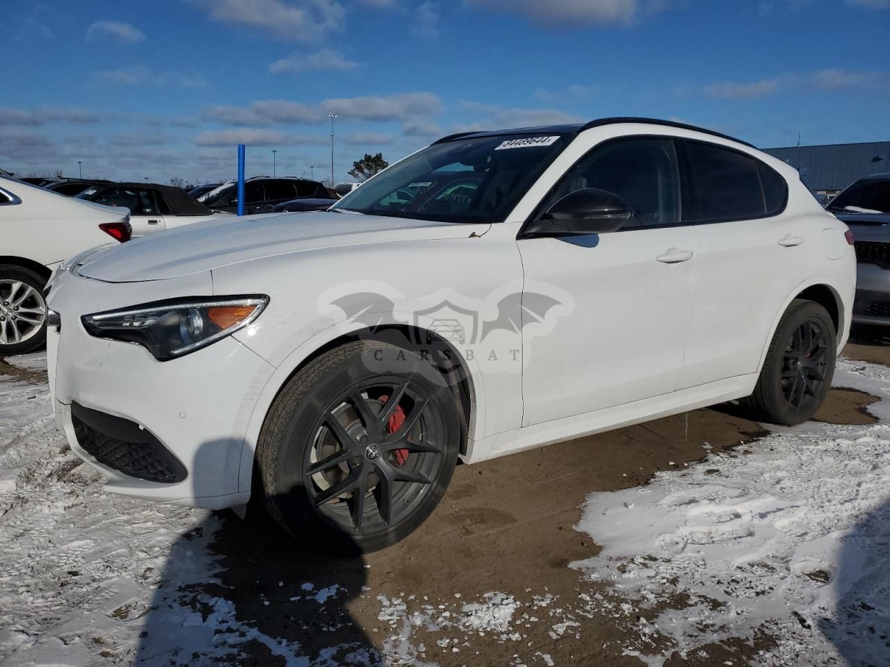 Alfa Romeo Stelvio 2.0L 4 2021