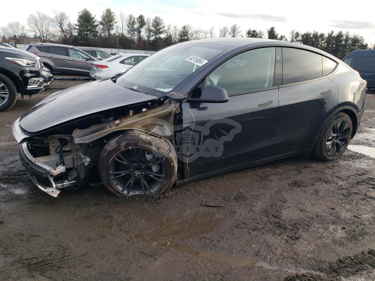 Tesla Model Y 2024