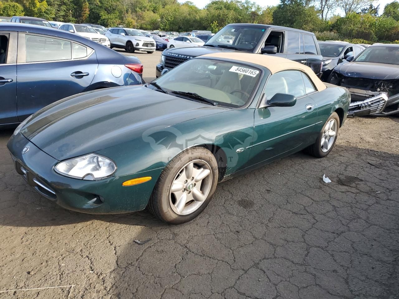 Jaguar XK 4.0L 8 1999