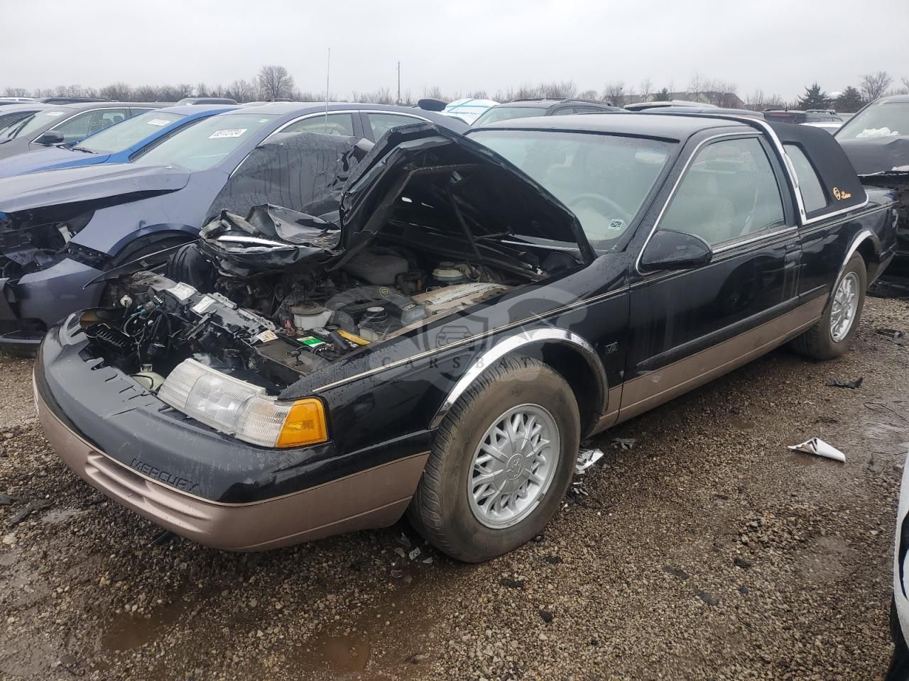 Mercury Cougar 4.6L 8 1995