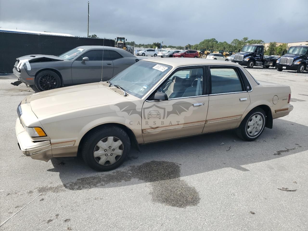 Buick Century SPECIAL 3.3L 6 1993
