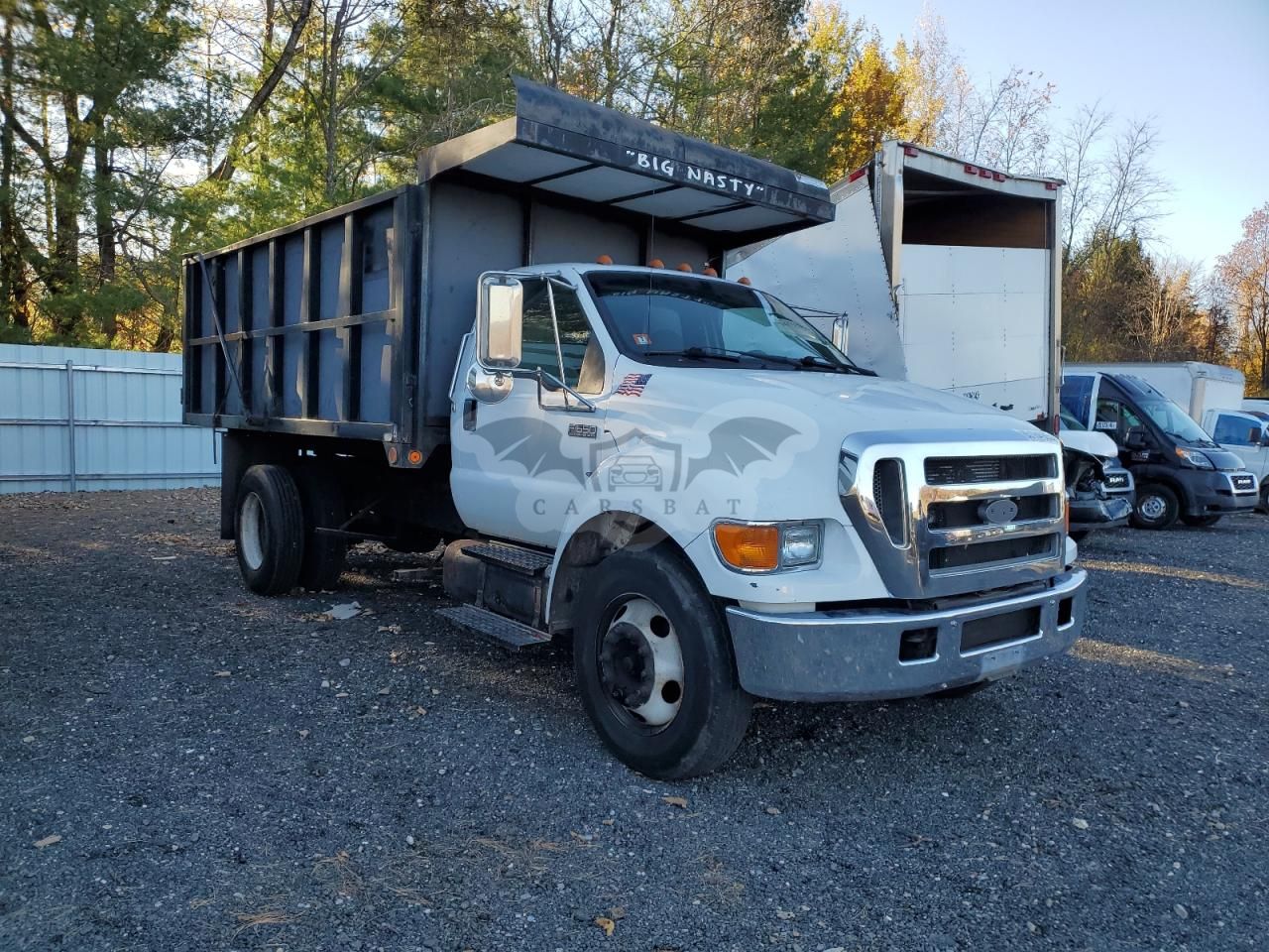Ford F650 SUPER DUTY 6.0L 8 2007