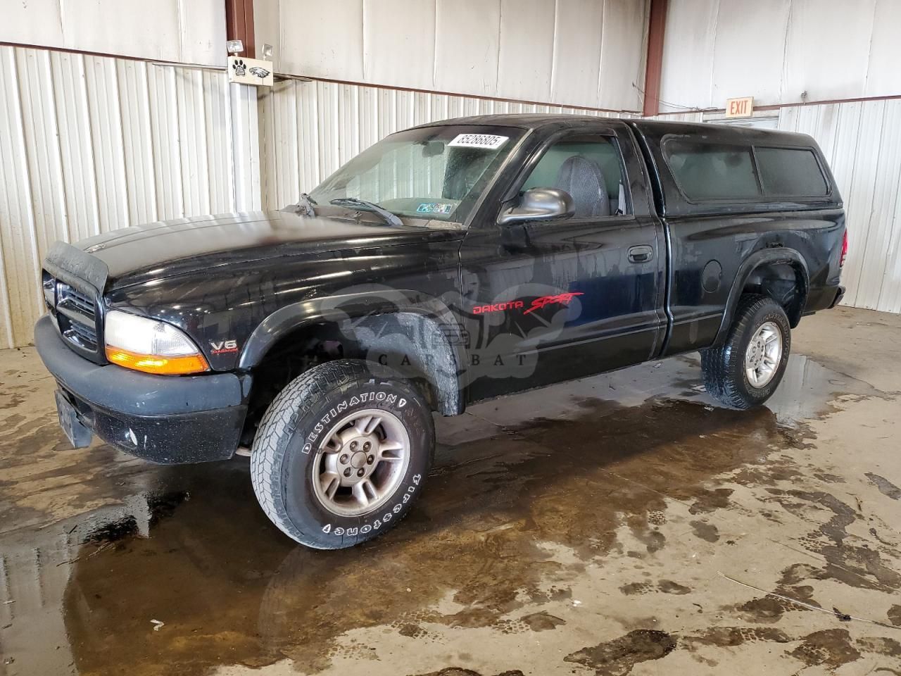 Dodge Dakota 3.9L 6 1999