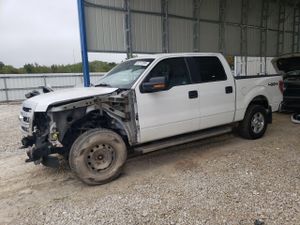 Ford F-150 SUPERCREW 5.0L 8 2013