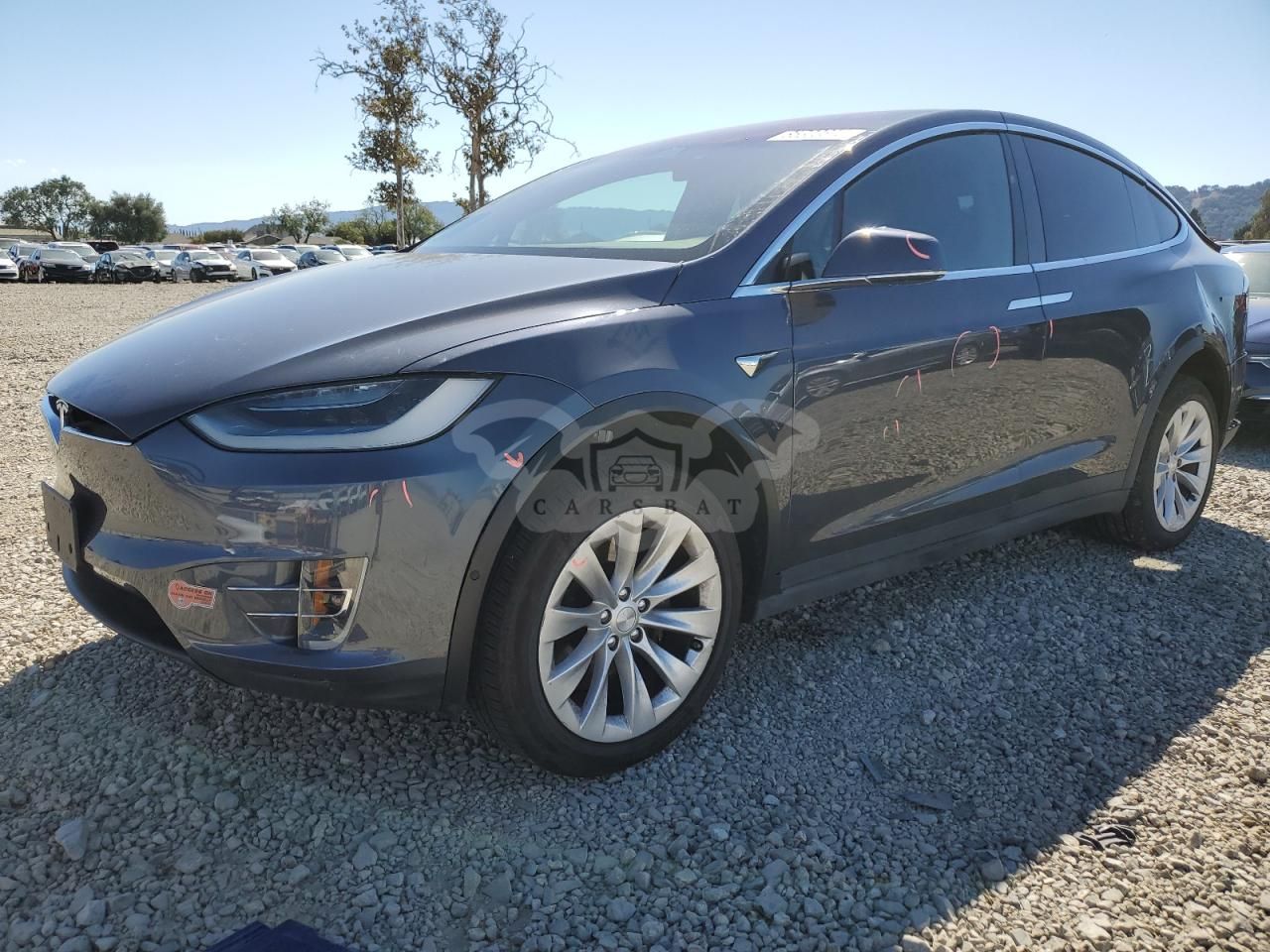 Tesla Model X 2020