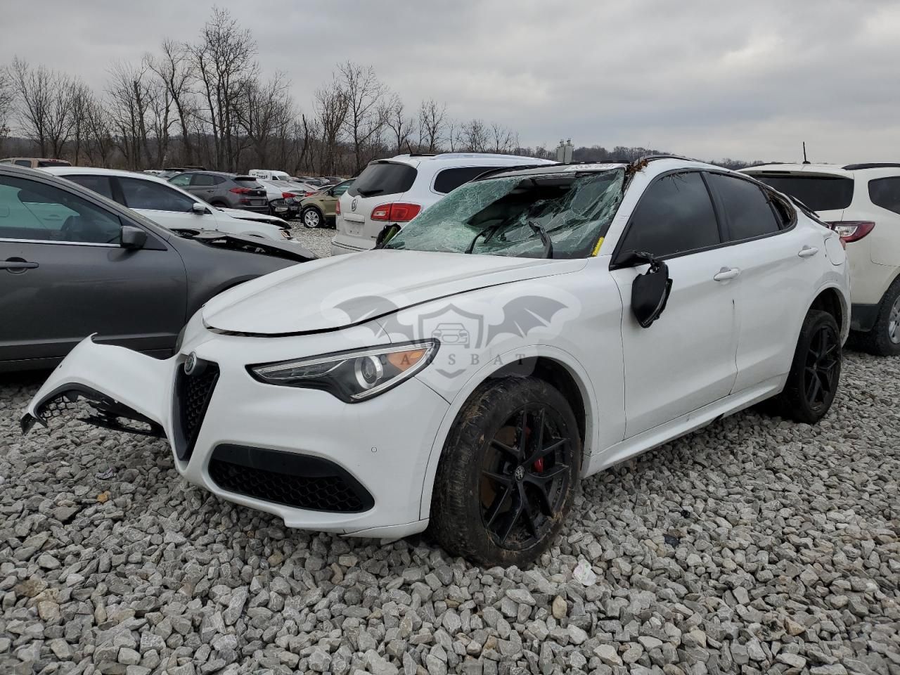 Alfa Romeo Stelvio 2.0L 4 2020