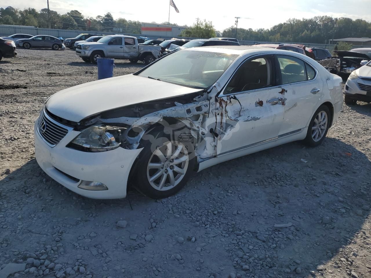 Lexus LS 460 4.6L 8 2007