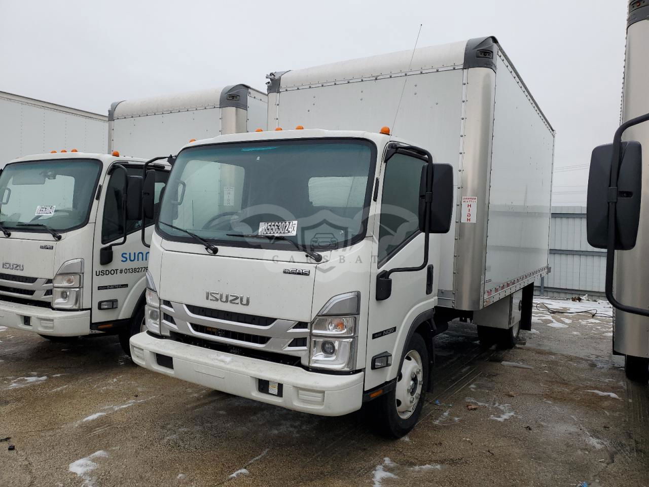 Isuzu NQR 6.6L  8 2024