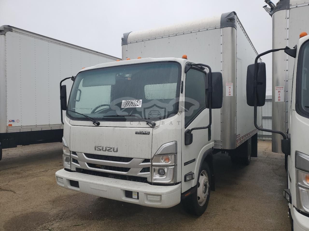 Isuzu NPR 6.6L 8 2024