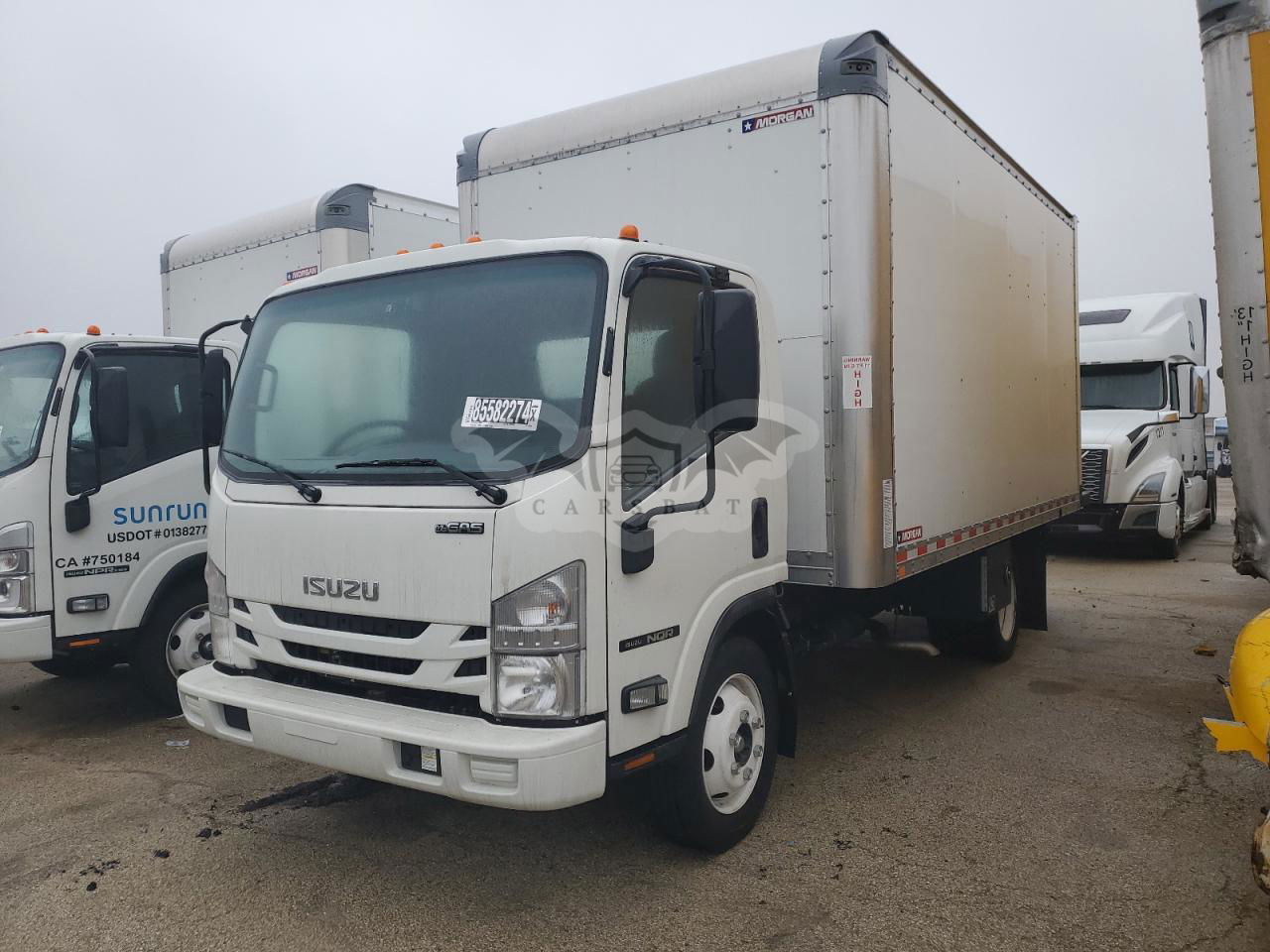Isuzu NQR 6.0L  8 2022
